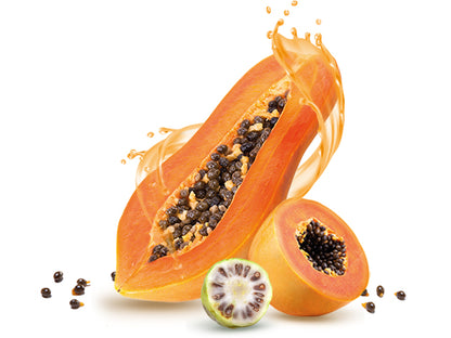 Natur Tanya® Fermentiertes Papayakonzentrat