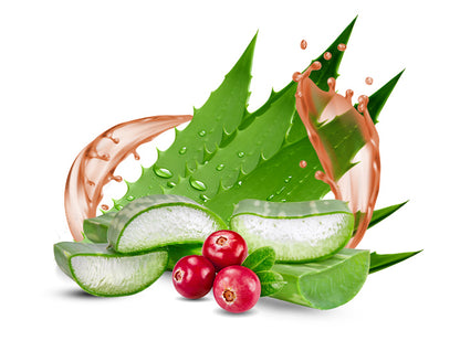 Natur Tanya® Aloe Vera-Getränk mit Cranberry, Waldfrüchte