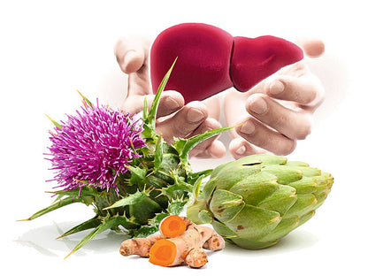 Natur Tanya® Hepa Detox® Leber und Verdauung